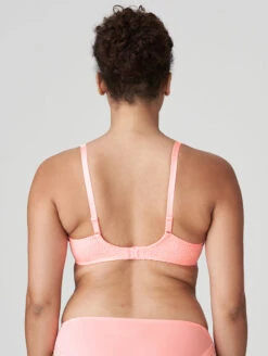 PrimaDonna Twist Sunset Hotel Full Cup Bra -PRIMADONNA Shop 0142230FullCupBraPinkParfaitBackEdited