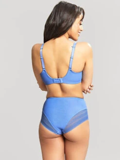Panache Serene High Waist Brief -PRIMADONNA Shop 10305SereneFullCupBra10303SereneHighWaistBriefCornflowerBackEdited 582eeb3e 5693 4d76 a8f9 6b53d496dc70