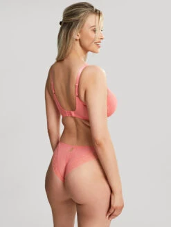 Cleo Alexis Plunge Bra -PRIMADONNA Shop 10471AlexisBalconnetBra10472BrazilianBriefSunkissCoralBackEdit 965aaab1 7655 4298 953f 283ad303dfc6