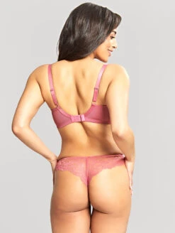 Panache Ana Plunge Bra -PRIMADONNA Shop 9396AnaPlungeBra9399AnaLaceThongBerryPinkBackEdited