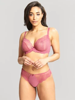 Panache Ana Plunge Bra -PRIMADONNA Shop 9396AnaPlungeBra9399AnaLaceThongBerryPinkFrontEdited