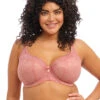 Elomi Brianna Padded Half Cup Bra 1 Elomi Brianna Padded Half Cup Bra -PRIMADONNA Shop BriannaAshRoseBraEL8081Front