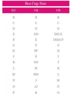 Chantelle Festivite Plunge Bra -PRIMADONNA Shop Chantelle Festivite Plunge Bra S 4