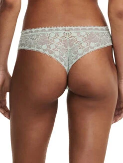 Chantelle Day To Night Thong -PRIMADONNA Shop ChantelleDayToNightThong15F9GreenLilyBack