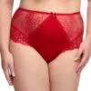 Dita Von Teese Fiamma Hi-Brief -PRIMADONNA Shop DitaVonTeeseFiammaHighWaistBriefD25021RedRoseFront