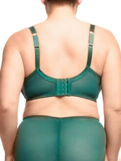 Dita Von Teese Cora Full Figure Balconette Bra 7 Dita Von Teese Cora Full Figure Balconette Bra -PRIMADONNA Shop DitaVonTesseCoraD99020JuniperCurvyBraBack