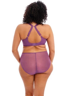 Elomi Charley Plunge Bra -PRIMADONNA Shop EL4382ElomiCharleyPlungeBraEL4386ElomiCharleyHighLegBriefPansyBackEdited ba6ce140 781c 403b b051 22ddc2899562