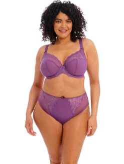 Elomi Charley Hi-Waist Brief 9 Elomi Charley Hi-Waist Brief -PRIMADONNA Shop EL4382ElomiCharleyPlungeBraEL4386ElomiCharleyHighLegBriefPansyFrontEdited