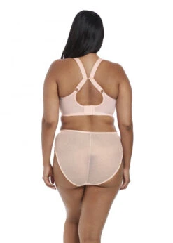 PRIMADONNA Shop -PRIMADONNA Shop Elomi Charley Hi Waist Brief S 2