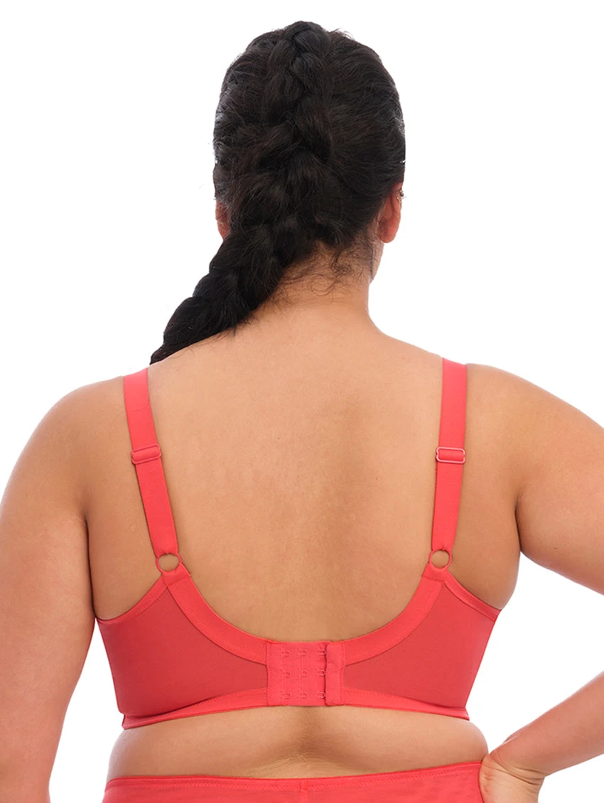 Elomi Brianna Strappy Plunge Bra 4 Elomi Brianna Strappy Plunge Bra - Image 2