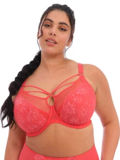 Elomi Brianna Strappy Plunge Bra