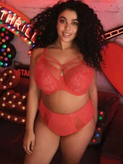 Elomi Brianna Strappy Plunge Bra 7 Elomi Brianna Strappy Plunge Bra -PRIMADONNA Shop ElomiBriannaPlungeBraEL8080FullBriefEL8085CayenneFront