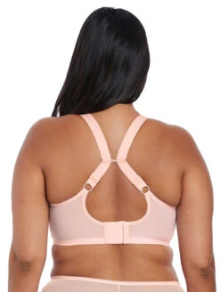 Elomi Charley Plunge Bra -PRIMADONNA Shop ElomiCharleyPlungeBraBalletPinkEL4382BackAlt