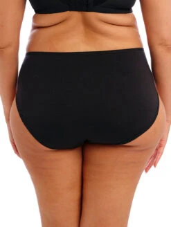Elomi Smooth Full Brief -PRIMADONNA Shop ElomiSmoothFullBriefBlackEL4565Back