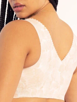 Evelyn & Bobbie The Evelyn Bra -PRIMADONNA Shop EvelynandBobbieTheEvelynChampagneGinkgoBack