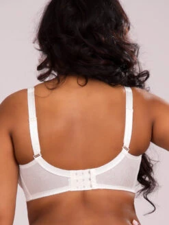 Felina Melina Bra -PRIMADONNA Shop Felina Melina Bra S 3