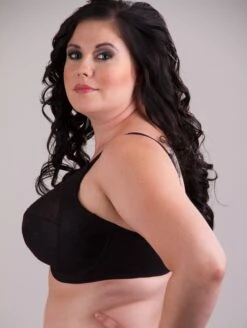 Goddess Alice Bra -PRIMADONNA Shop GD GD6041 13 Edit