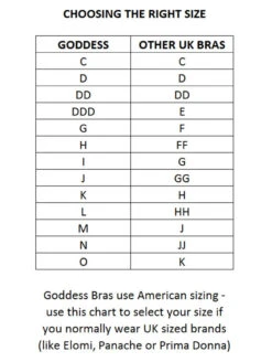Goddess Bridget Bra 9 Goddess Bridget Bra -PRIMADONNA Shop Goddess Bridget Bra S 4