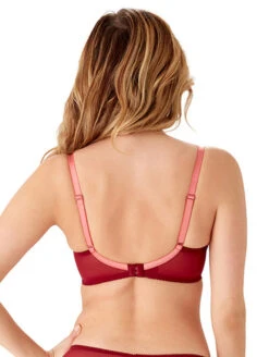 Gossard Superboost Lace Plunge Bra -PRIMADONNA Shop GossardSuperboostLacePlungeBra7711CranberryRaspberrySorbetBack