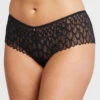Montelle Lacy Essentials Brazillian -PRIMADONNA Shop MontelleLacyEssentialsBrazilianBlack9305Front