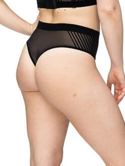Nancy Ganz Body Perfection Thong -PRIMADONNA Shop Nancy Ganz Body Perfection Thong S 3