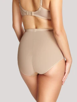 Panache Envy Shaping Brief 9 Panache Envy Shaping Brief -PRIMADONNA Shop Panache Envy Shaping Brief S 4