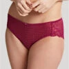 Panache Envy Brief -PRIMADONNA Shop PanacheBriefOrchid7282Front