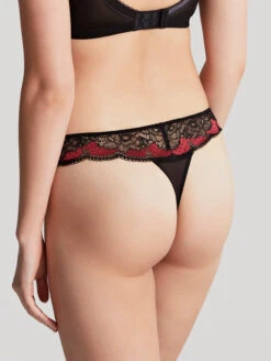 Panache Clara Thong 9 Panache Clara Thong -PRIMADONNA Shop PanacheClaraThongNoirRuby7259Back