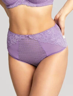 Panache Envy Deep Brief