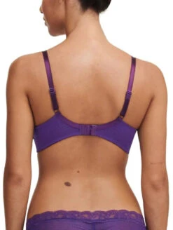 Passionata Brooklyn Plunge Bra -PRIMADONNA Shop PassionataBrooklynPlungeBra5701PansyBack