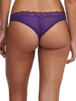 Passionata Brooklyn Thong -PRIMADONNA Shop PassionataBrooklynThong5707PansyBack