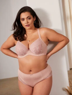 Sculptresse Roxie Brief 9 Sculptresse Roxie Brief -PRIMADONNA Shop Sculptresse Roxie Brief S 4