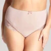 Sculptresse Sasha Brief -PRIMADONNA Shop SculptresseSashaBriefsSoftPink9502Front