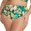 Artesands Botticelli Hi-Waist Swim Bottom -PRIMADONNA Shop ArteSandsBotticelliHighWaistSwimBottomAT4705NAGreenFloralFront