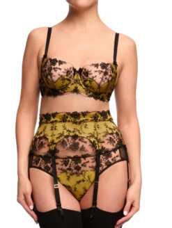 Dita Von Teese Victresse Garter Belt -PRIMADONNA Shop DitaVonTeeseVictresseFullSetFrontEditedBlackChartreuse 35bcd1f8 422c 41cf a351 2ad1944ef424
