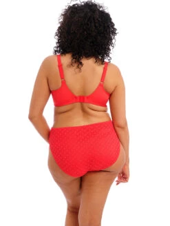 Elomi Bazaruto Underwire Plunge Bikini Top -PRIMADONNA Shop ES800602ElomiSavanetaPlungeBikiniTopES800672SavanetaMidRiseBikiniBriefSunsetBack