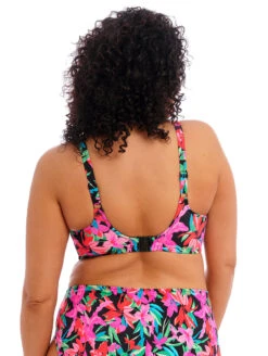 Elomi Savaneta Plunge Bikini Top -PRIMADONNA Shop ES801302ElomiSavanetaPlungeBikiniBlackBack