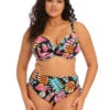 Elomi Tropical Falls Plunge Bikini Top -PRIMADONNA Shop ES801502TropicalFallsPlungeBikiniTopES801573TropicalFallsAdjustableBikiniBriefFrontEdited 69437226 6865 4e33 8599 9cd6c124f796