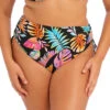 Elomi Tropical Falls Adjustable Bikini Brief -PRIMADONNA Shop ES801573TropicalFallsAdjustableBikiniBriefFrontEdited