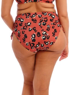 Elomi Kotiya Adjustable Bikini Brief -PRIMADONNA Shop ElomiKotiyaAdjustableBikiniBriefES800973TerracotaBack