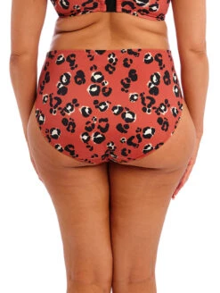 Elomi Kotiya Mid Rise Bikini Brief -PRIMADONNA Shop ElomiKotiyaMidriseBikiniBriefES800972TerracotaBack