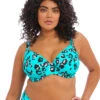 Elomi Swim Kotiya Plunge Bikini Top 1 Elomi Swim Kotiya Plunge Bikini Top -PRIMADONNA Shop ElomiKotiyaPlungeTopES800902Front