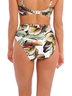 Fantasie Kinabalu High Waist Bikini Brief -PRIMADONNA Shop FS503278HiWaistBikiniBriefJungleBack