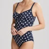 Panache Anya Riva Spot One Piece Swimsuit 1 Panache Anya Riva Spot One Piece Swimsuit -PRIMADONNA Shop PanacheSwimAnyaRivaSpot1PieceSwimsuitSW1450Front