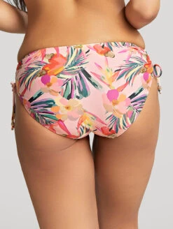 Panache Paradise Drawside Midi Brief -PRIMADONNA Shop SW1636PanacheParadiseDrawsideMidiBikiniBriefPinkTropicalBackEdited