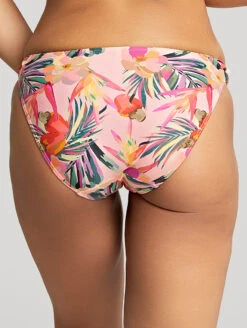 Panache Paradise Classic Bikini Brief 8 Panache Paradise Classic Bikini Brief -PRIMADONNA Shop SW1639ParadiseCLassicBikiniBriefPinkTropicalBackEdited