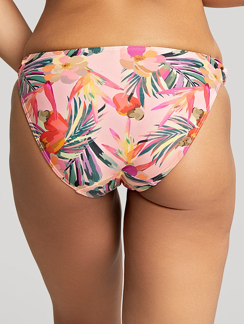 Panache Paradise Classic Bikini Brief 5 Panache Paradise Classic Bikini Brief - Image 3