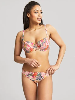 Panache Paradise Classic Bikini Brief 9 Panache Paradise Classic Bikini Brief -PRIMADONNA Shop SW1639ParadiseCLassicBikiniBriefPinkTropicalFrontEdited2