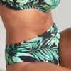 Panache Bali Midi Bikini Brief -PRIMADONNA Shop SW1646BaliMidiBriefPalmPrintFrontEdited
