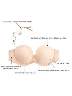 Wacoal Strapless Bra -PRIMADONNA Shop Wacoal Strapless Bra S 3 294e73d9 d248 43dc a5fc e37f55d10149